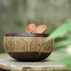 Coconut Art Bowl Contact